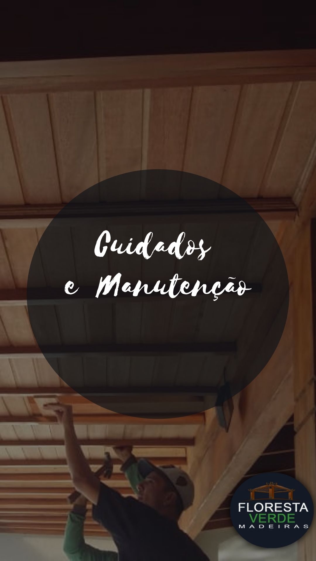 Cuidados e manutenção 